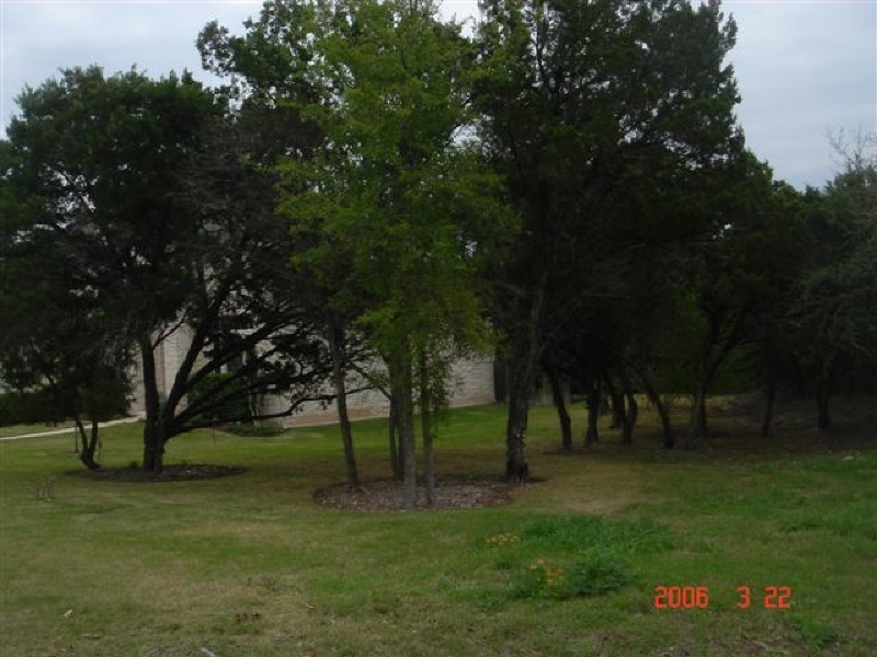 2012/00(Landscaping)/2006-03-22-6607 Conifer Cove-01.jpg